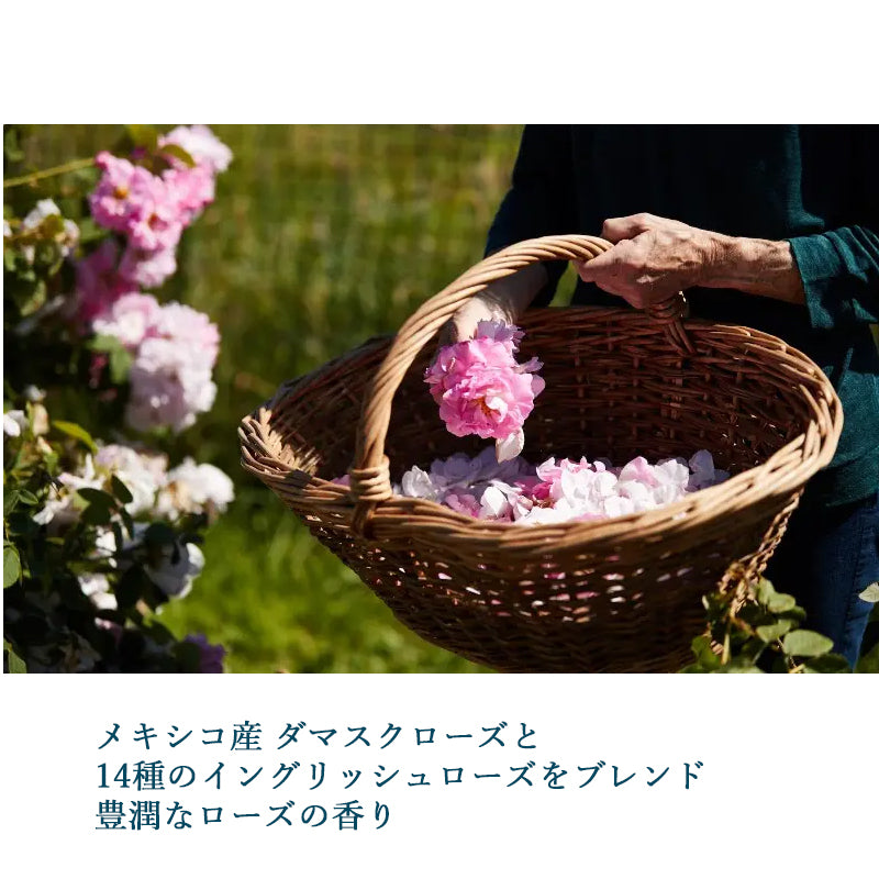 プロコラジェン ローズクレンジングバーム