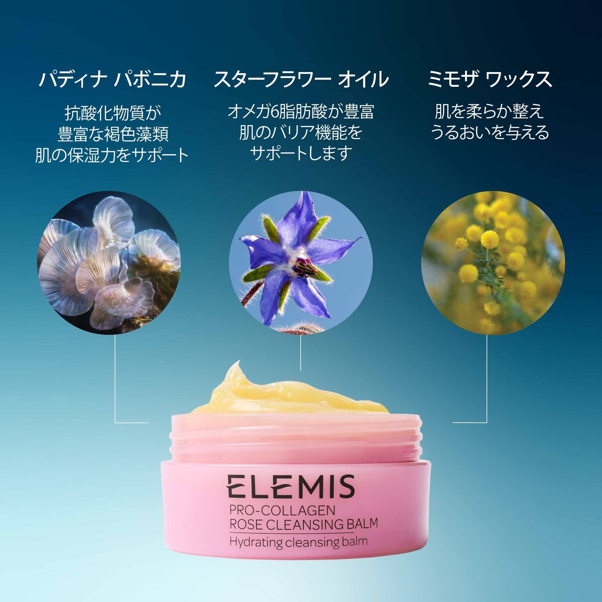 新品⭐︎ELEMIS エレミス プロコラジェンクレンジングバーム100g×2種 楽天市場】エレミス Elemis プロコラジェン クレンジングバーム
