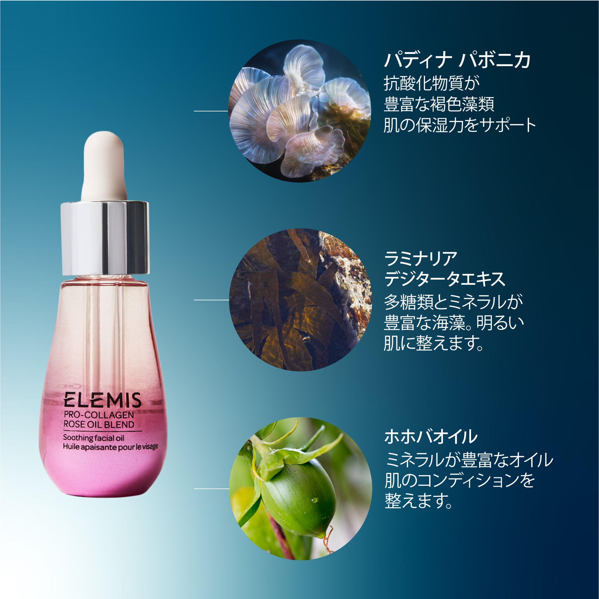 プロコラジェン ローズ オイルブレンド – ELEMIS オンラインショップ